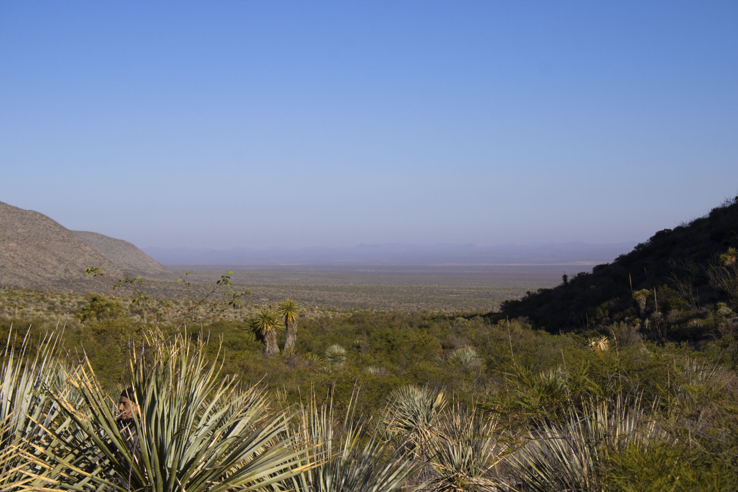 Pronóstico del Clima en Chihuahua: Temperaturas Variadas y Vientos Fuertes en Algunas Zonas.