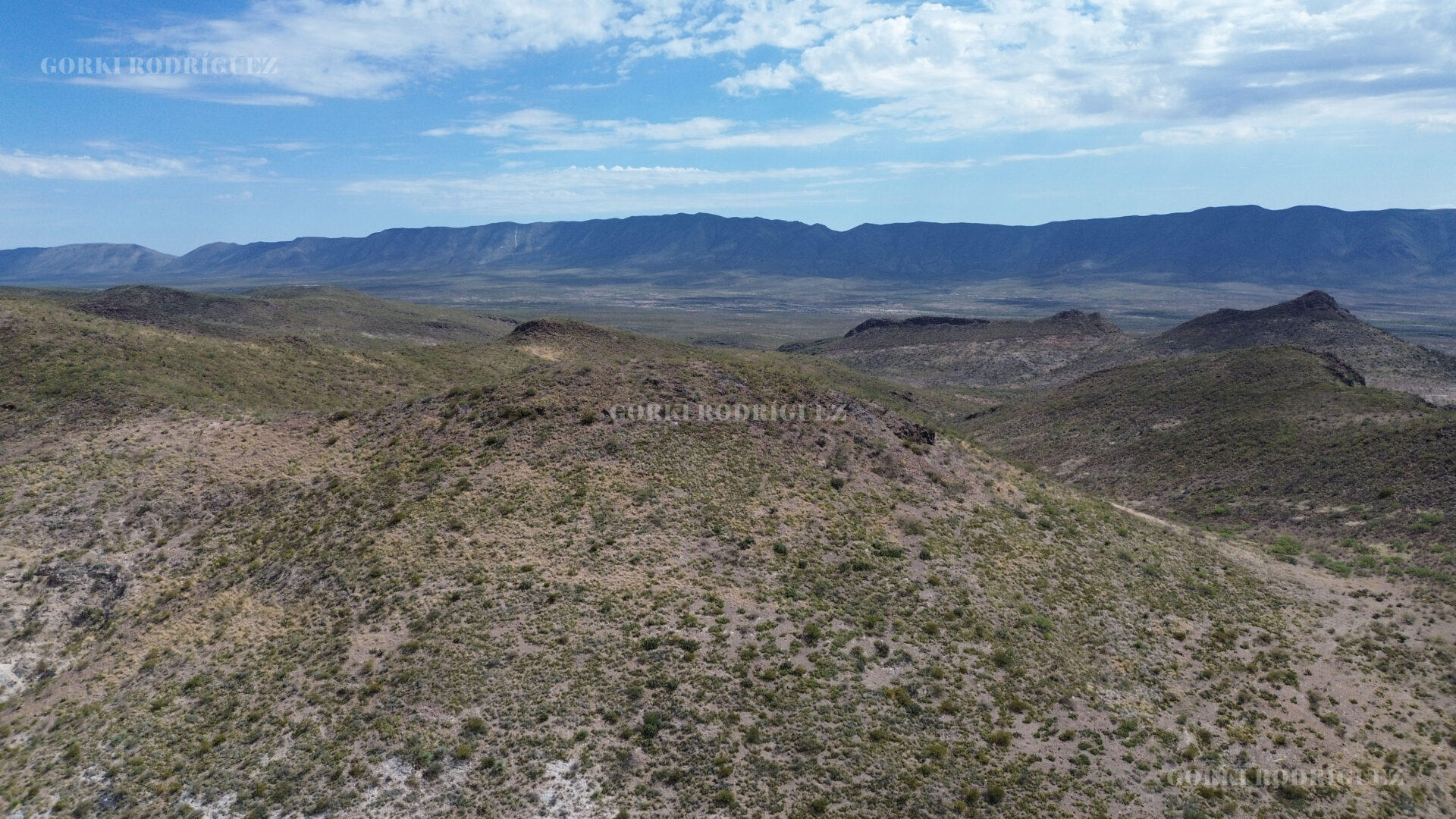 Potencial geológico y mineralógico del fundo minero «La Reyna» en Jiménez, Chihuahua