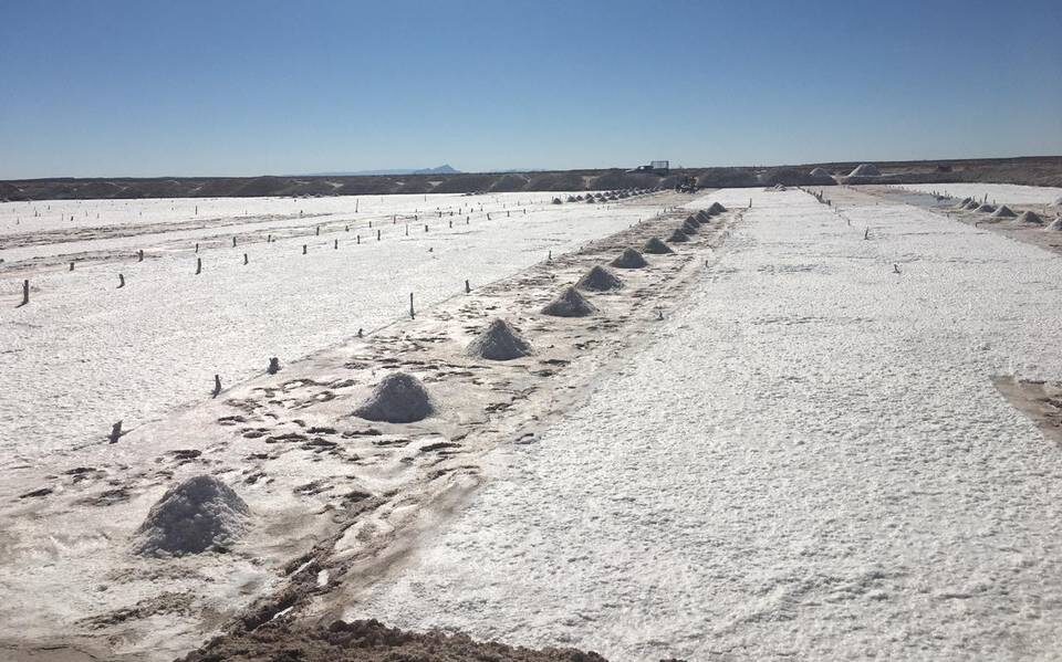 Descubren Yacimientos de Litio en Jiménez, Chihuahua: SGM.