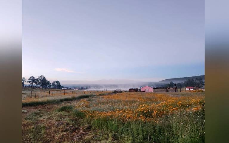 El Vergel, Balleza, amanece a 1 grado: se espera una tarde cálida con temperaturas de hasta 22°C.