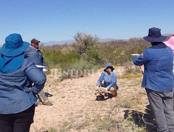 Hijas del Desierto: Las Mujeres de Carrillo que Defienden la Flora y Fauna del Bolsón.