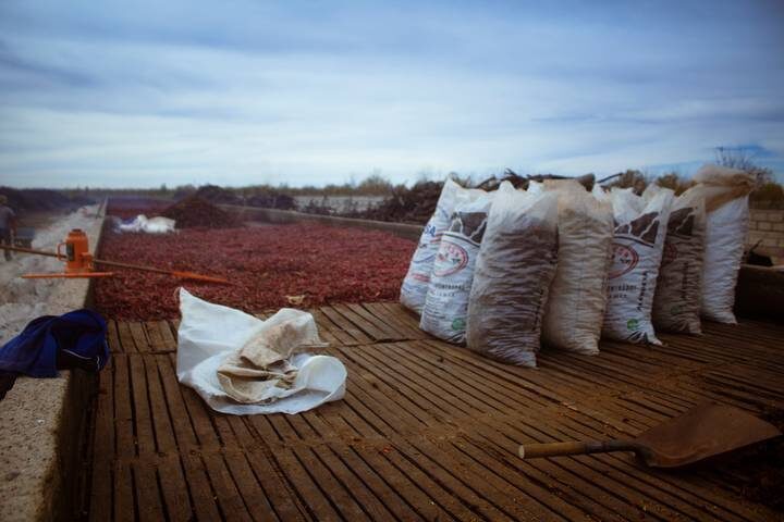 El Proceso Tradicional y la Industria del Chile Chipotle en Chihuahua.