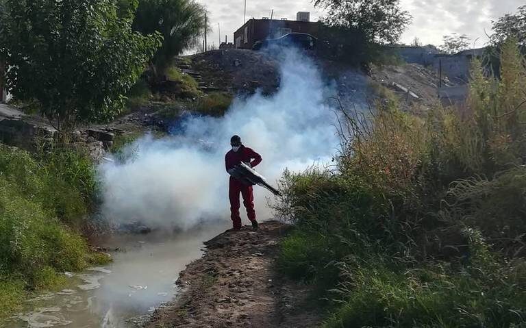 Actualización de casos de dengue en Chihuahua: 44 contagios hasta octubre, la Secretaría de Salud intensifica campaña de prevención.