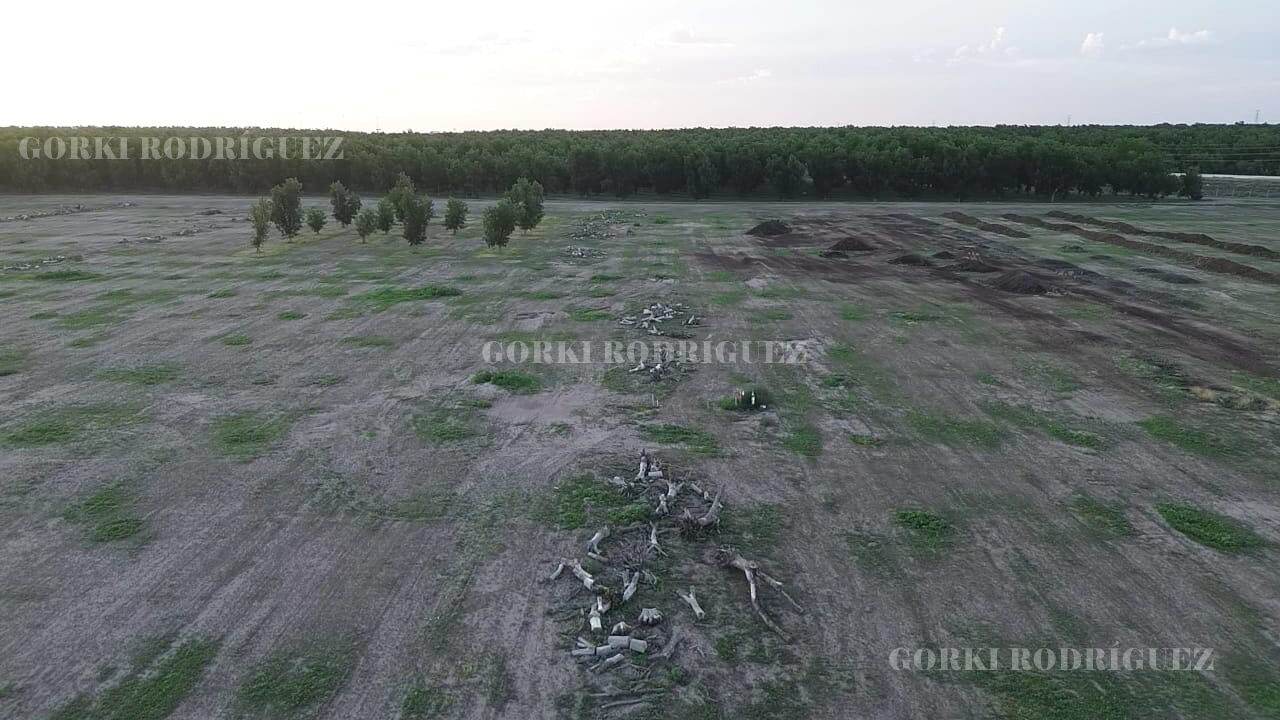 Los Nogaleros Agotan el Agua y Ahora Sufren las Consecuencias: Más de 700 Hectáreas secas López y Jiménez.