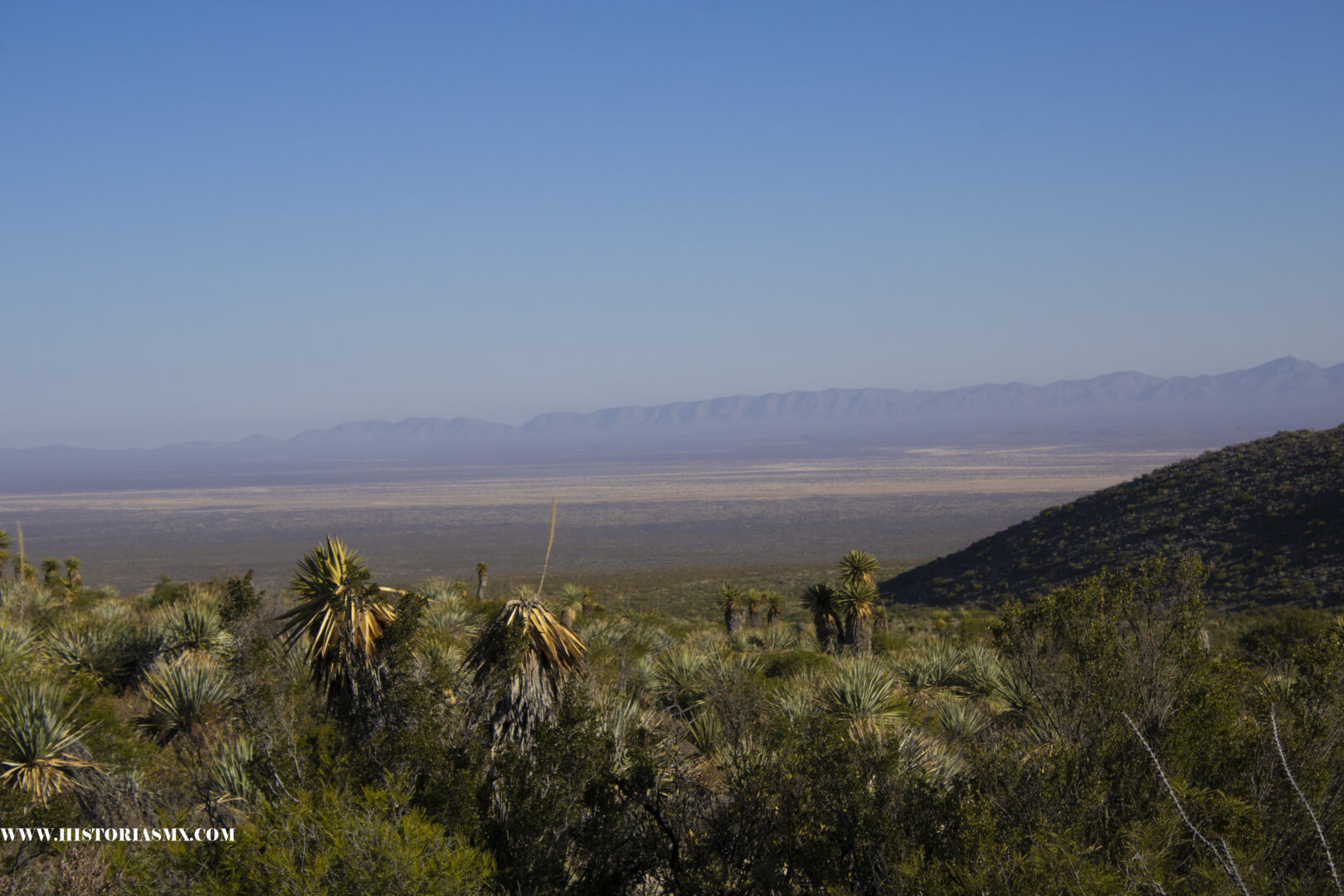 La Reserva de la Biosfera Mapimí: Historia, Biodiversidad y Retos de Conservación en el Desierto Chihuahuense.