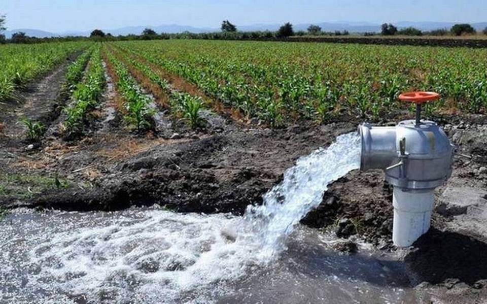 Contaminación del Agua en Ascensión: Un Problema Urgente para la Salud Pública.