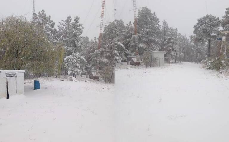 Fenómeno Invernal Azota Chihuahua con Nieve, Aguanieve y Vientos Fuertes.