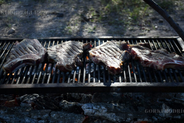 🌵 Forjados en Clima y Carne — Cómo el Desierto de Chihuahua moldeó el espíritu chihuahuense