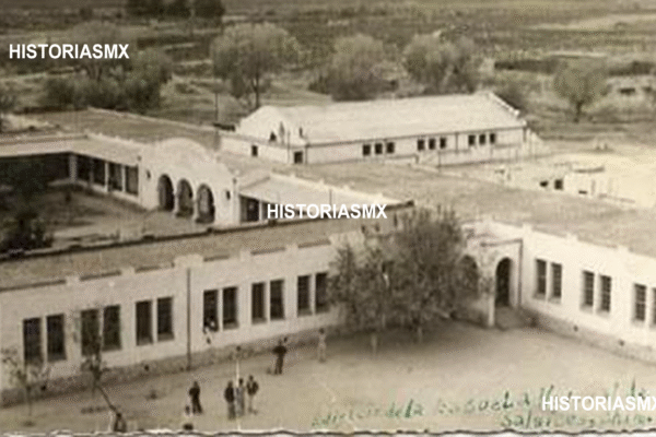 Entre girasoles y cornetas: el legado vivo de la Escuela Normal Rural de Salaices