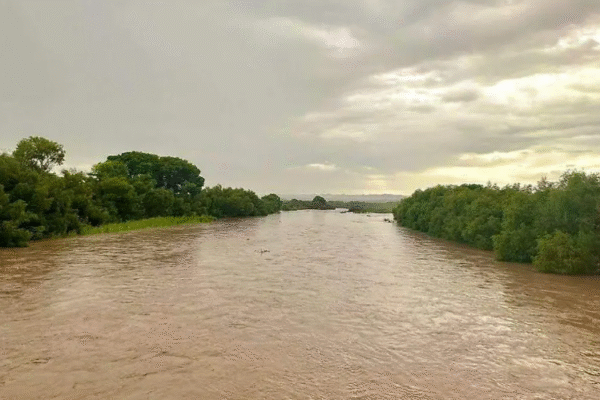 🌧️ El Río Conchos vuelve a la vida en Valle de Zaragoza tras años de sequía