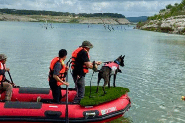 Perros rescatistas mexicanos se suman a búsqueda de víctimas tras inundaciones en Texas