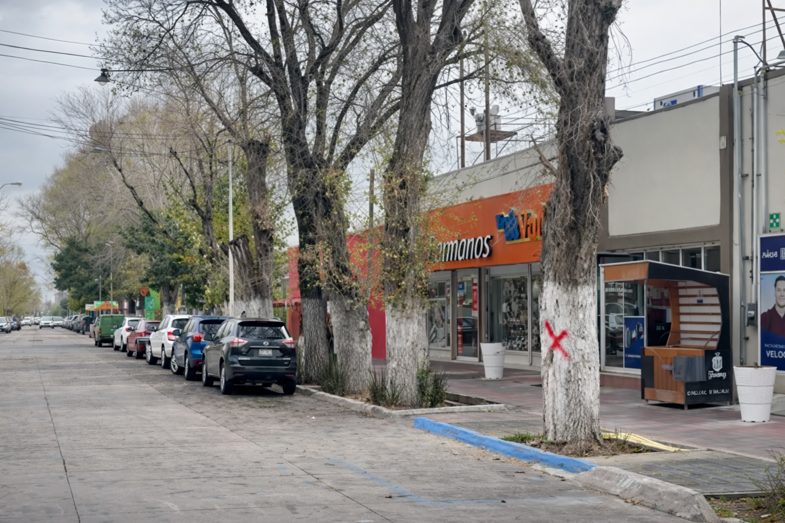 arbol jiménez